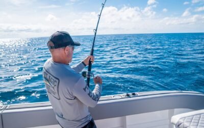 Guía para Principiantes en la Pesca Deportiva